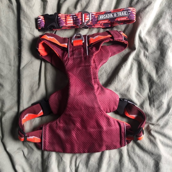 Matching collar and harness - Picture 2 of 2